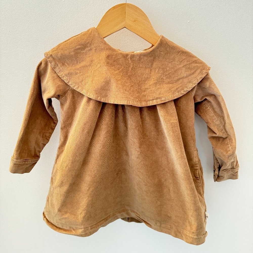 1+ In The Family Nadia Collar Micro Corduroy Dress